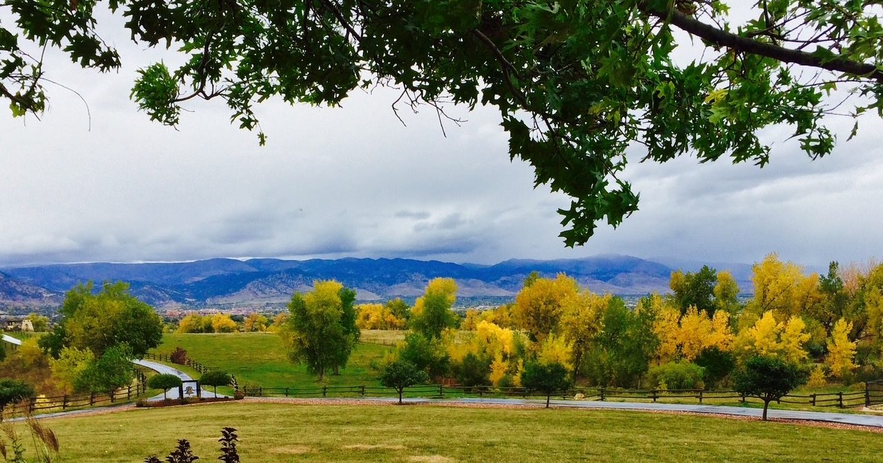 Aspens below a storm building over the Colorado Front Range